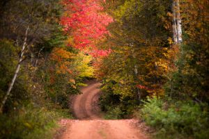 Confederation Trail
