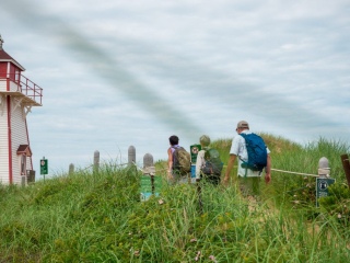 Section 17: Covehead Section 17: Covehead