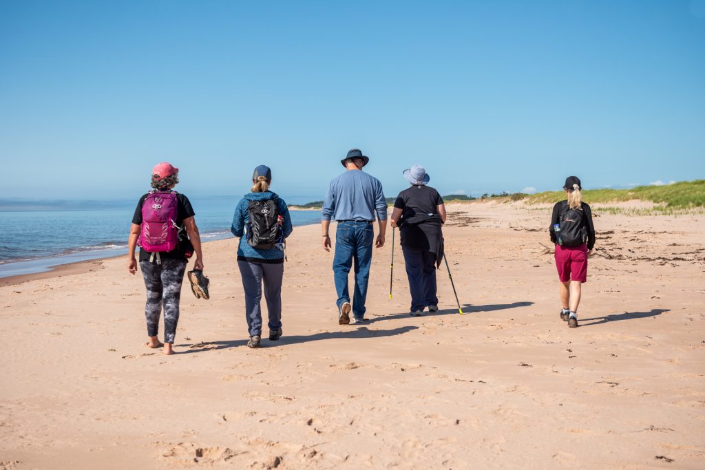 Section 22: Mossey Beach