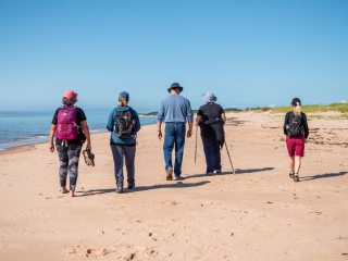 Section 22: Mossey Beach