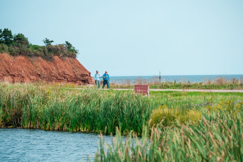 Section 16: Cavendish-North Rustico Section 16: Cavendish-North Rustico