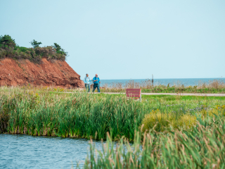 Section 15: Cavendish-North Rustico Section 15: Cavendish-North Rustico