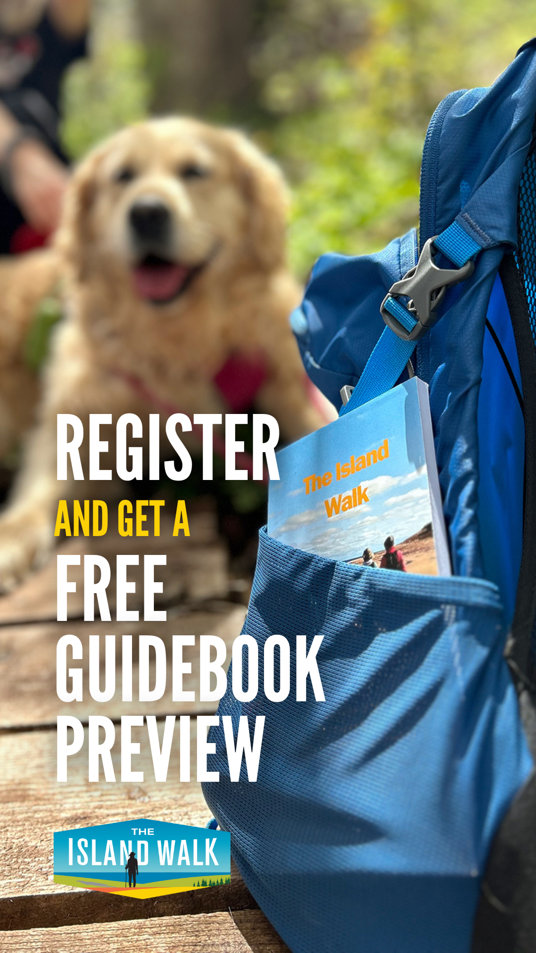 Register and get a free guidebook preview