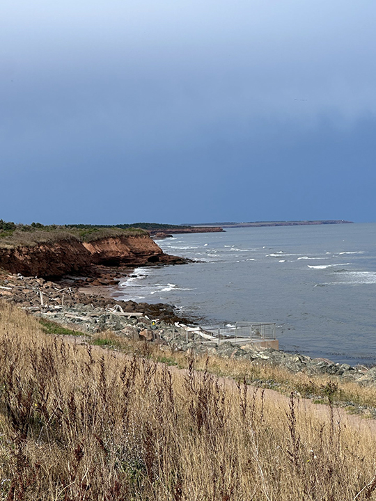 Murray-Banting-04