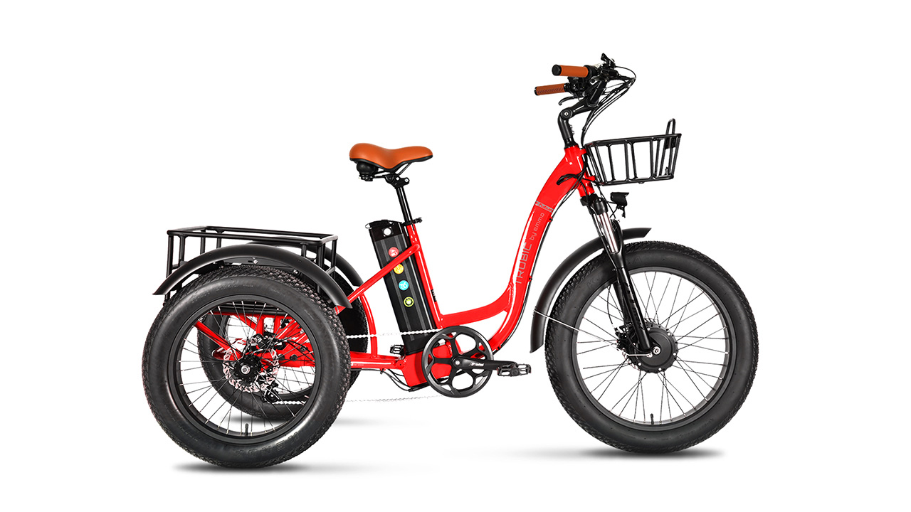 E-Motion Savvy Rides - The Island Walk
